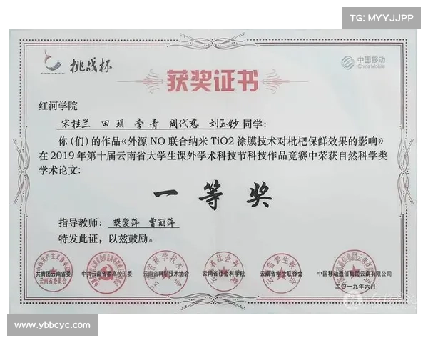 如何科学评估DK宏技术优化效果及其实践应用路径研究 如何科学评估DK宏技术优化效果及其实践应用路径研究