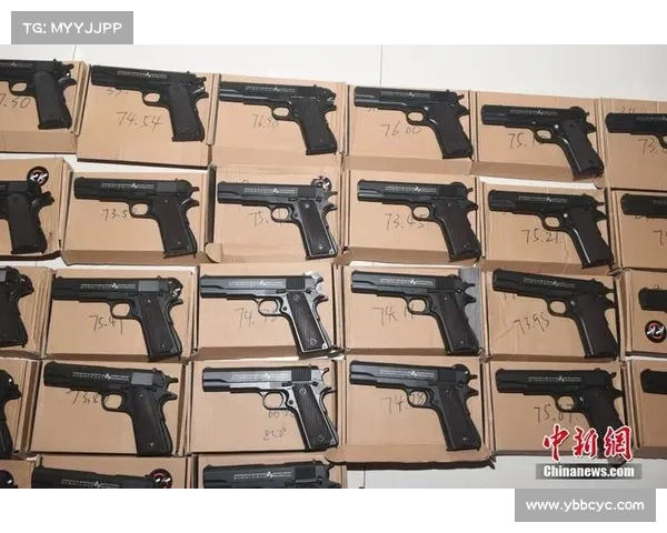 合法购枪手续解读、持有规范与家庭安全使用操作指南:法律责任与储存运输要点 合法购枪手续解读、持有规范与家庭安全使用操作指南:法律责任与储存运输要点